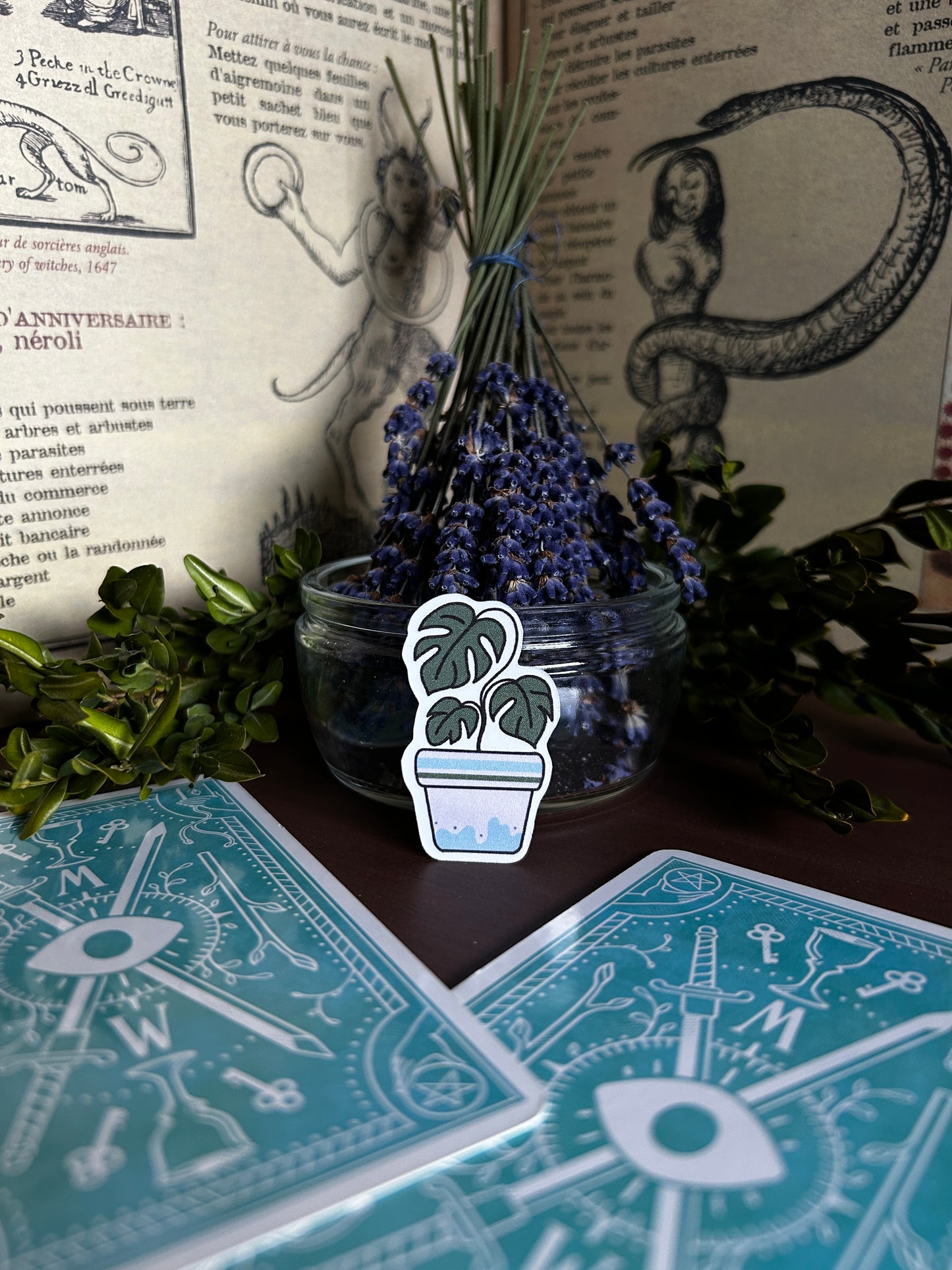 Plant Whisper
