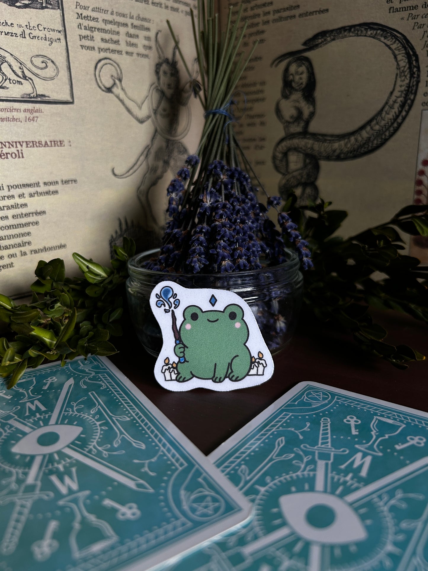 Wizard Froggy